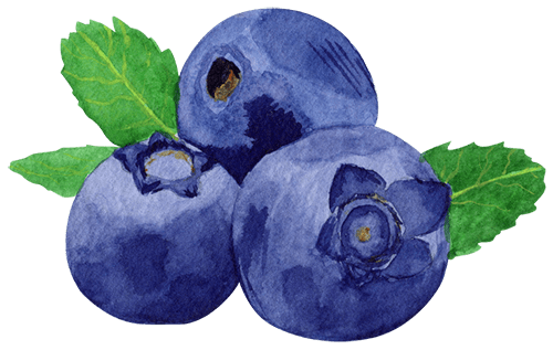 The Exodus Experience - Blueberries